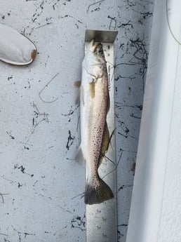 Fishing in Corpus Christi, Texas