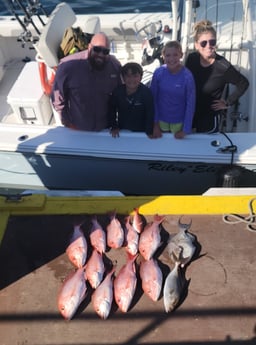 Amberjack, Red Snapper Fishing in Panama City, Florida