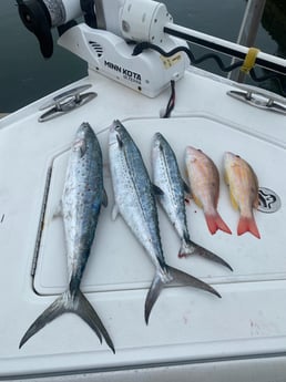 Fishing in Key West, Florida