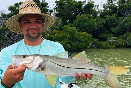 Snook fishing in Tavernier, Florida