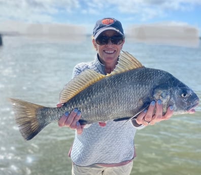 Black Drum Fishing in St. Augustine, Florida