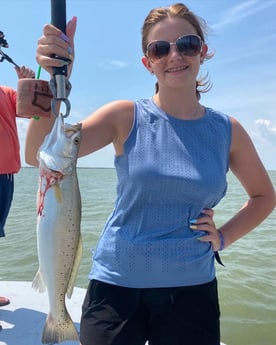 Tarpon fishing in Carolina, Carolina