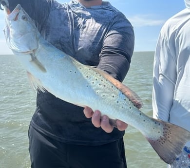 Speckled Trout Fishing in Corpus Christi, Texas