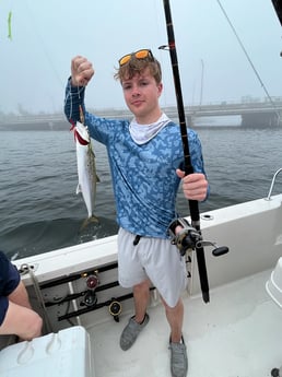 Spanish Mackerel Fishing in Destin, Florida