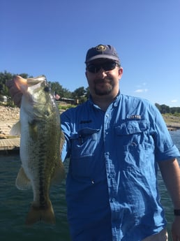 Largemouth Bass fishing in Austin, Texas