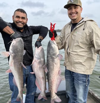 Blue Catfish Fishing in Dallas, Texas