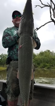 Alligator Gar fishing in Livingston, Texas