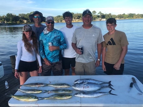 Little Tunny / False Albacore, Mahi Mahi / Dorado fishing in Pensacola, Florida