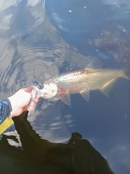 Fishing in Melbourne, Florida