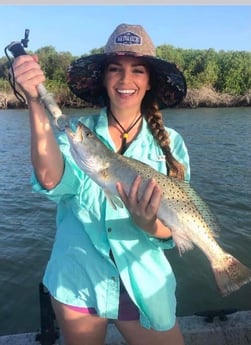 Speckled Trout / Spotted Seatrout fishing in Port Aransas, Texas