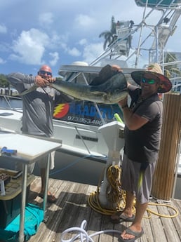 Mahi Mahi / Dorado fishing in Pompano Beach, Florida