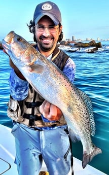 Speckled Trout / Spotted Seatrout Fishing in South Padre Island, Texas