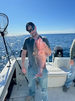 Fishing in Panama City Beach, Florida