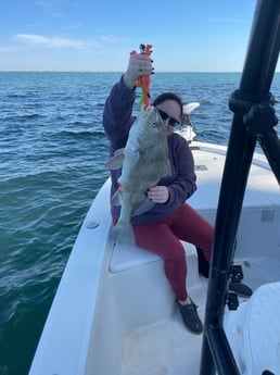 Black Drum Fishing in Gulf Shores, Alabama