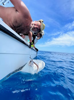 Fishing in Bay Pines, Florida