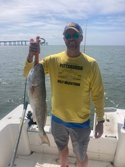 Redfish fishing in Wanchese, North Carolina