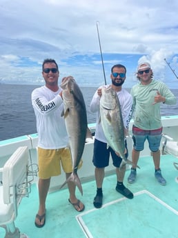 Fishing in Miami Beach, Florida