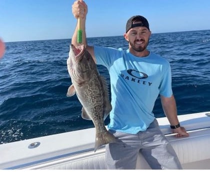 Gag Grouper fishing in Destin, Florida