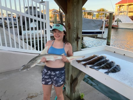 Black Drum, Bonnethead Shark, Redfish fishing in Rockport, Texas