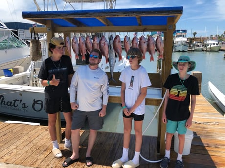 Kingfish, Red Snapper Fishing in South Padre Island, Texas