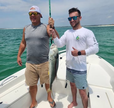 Jack Crevalle Fishing in Pensacola, Florida