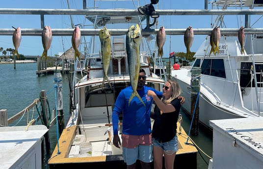 Mahi Mahi, Yellowtail Snapper Fishing in Islamorada, Florida