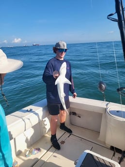 Blacktip Shark Fishing in Galveston, Texas