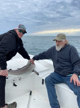 Sheepshead fishing in Pensacola, Florida