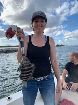 Sheepshead Fishing in Jacksonville, Florida