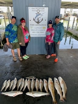 Redfish, Sheepshead, Speckled Trout / Spotted Seatrout fishing in Galveston, Texas