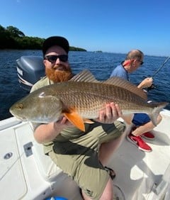 Redfish Fishing in Holmes Beach, Florida