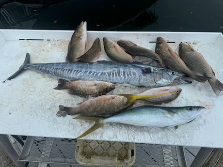 Fishing in Key West, Florida