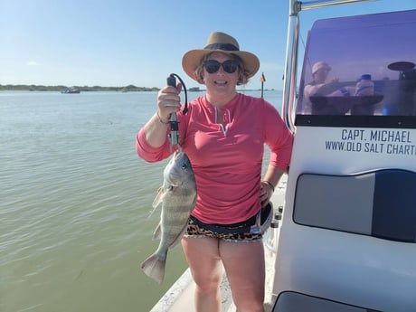 Black Drum Fishing in South Padre Island, Texas