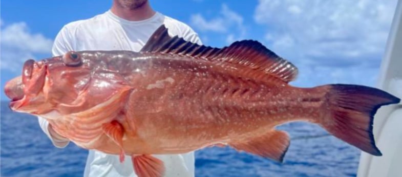 Fishing in Tierra Verde, Florida