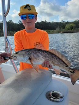 Redfish Fishing in Santa Rosa Beach, Florida