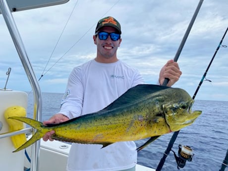 Mahi Mahi / Dorado fishing in Islamorada, Florida