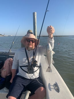 Sheepshead fishing in Corpus Christi, Texas