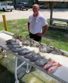 Triggerfish, Vermillion Snapper fishing in Atlantic Beach, Florida