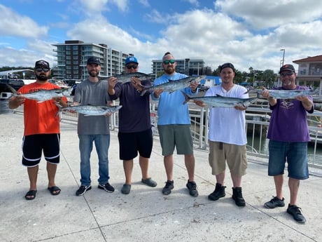 King Mackerel / Kingfish, Spanish Mackerel Fishing in Clearwater, Florida