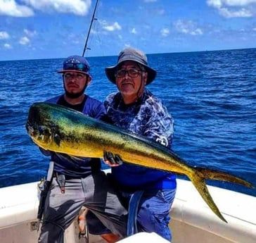 Mahi Mahi / Dorado fishing in Port Isabel, Texas