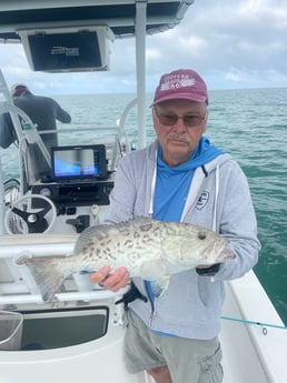 Gag Grouper Fishing in St. Petersburg, Florida