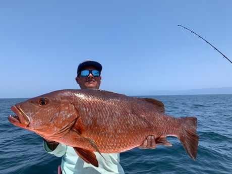 Fishing in Puerto Vallarta, Mexico