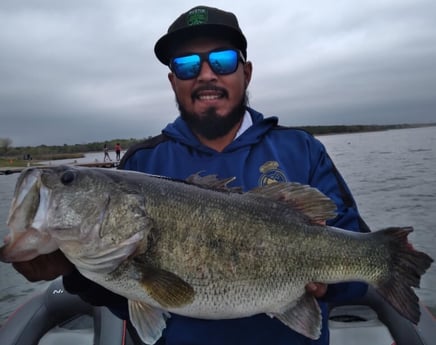 Largemouth Bass fishing in Austin, Texas