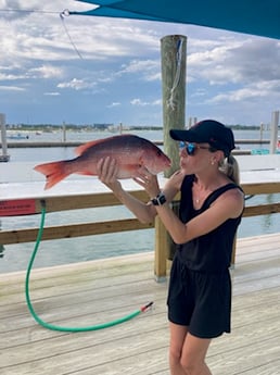 Red Snapper Fishing in Orange Beach, Alabama