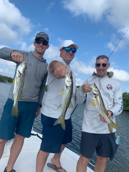 Redfish fishing in Clearwater, Florida