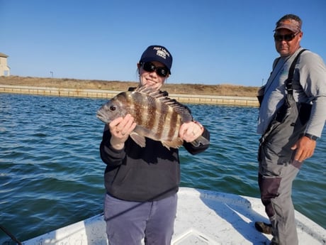 Sheepshead fishing in Port O&#039;Connor, Texas