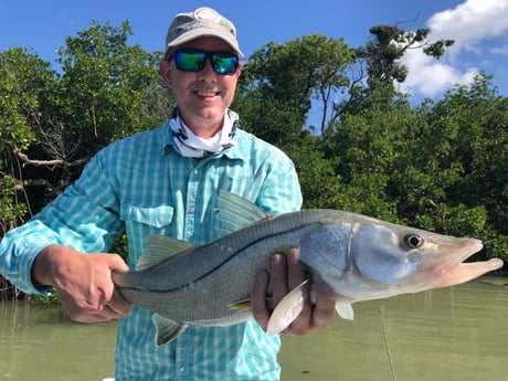 Snook fishing in Tavernier, Florida