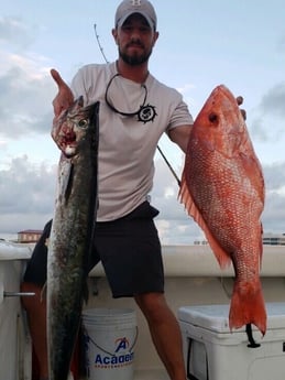 King Mackerel / Kingfish, Red Snapper fishing in Galveston, Texas