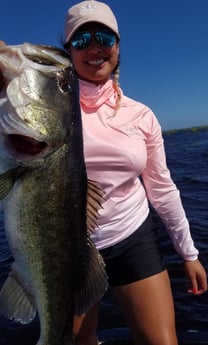 Largemouth Bass fishing in Fort Lauderdale, Florida