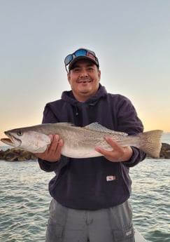 Speckled Trout / Spotted Seatrout fishing in Corpus Christi, Texas